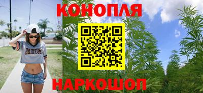 мяу мяу мука Моздок