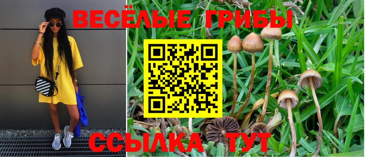 Галлюциногенные грибы мицелий Ухта